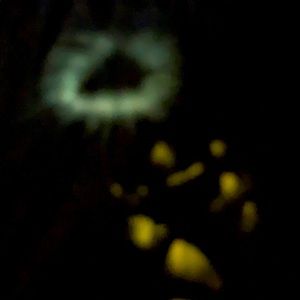 Don’t know and I couldn’t tell you T-shirt